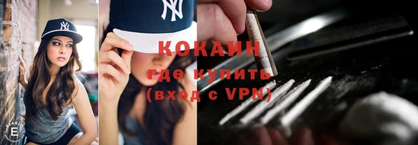 соль ск Богданович