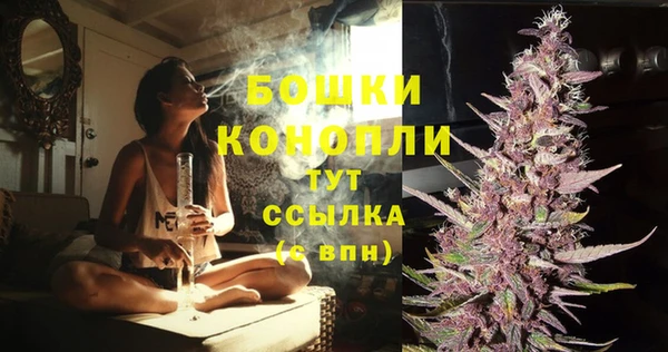 соль ск Богданович