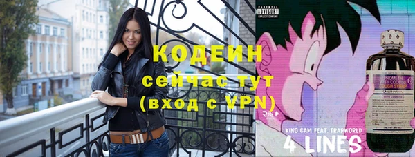 дмт Богородск