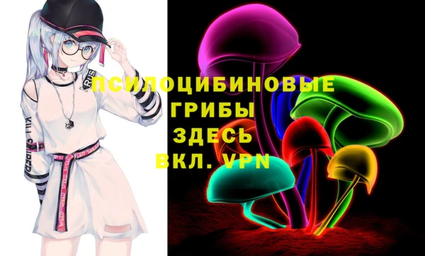 соль ск Богданович