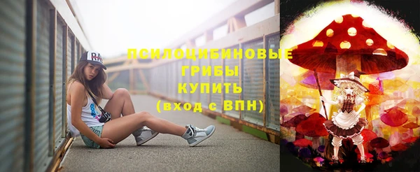 таблы Богородицк